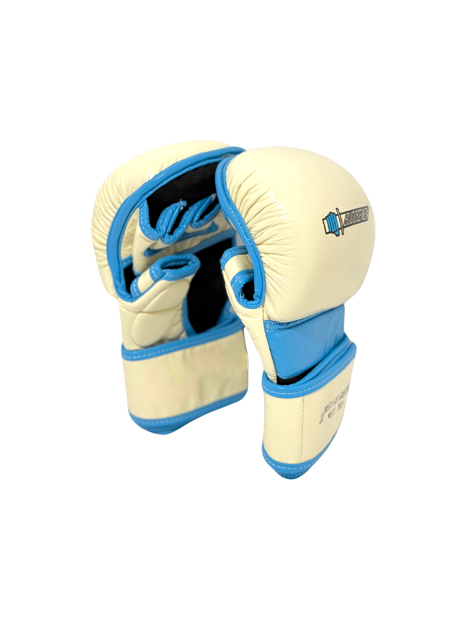 Budoseiken gloves front